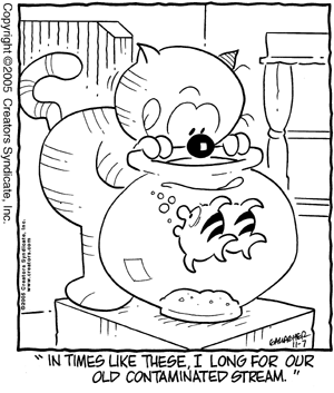 heathcliff